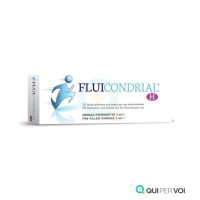 Fluicondrial H siringa 2ml/40mg