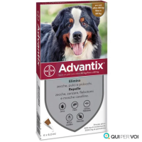 ADVANTIX SPOT ON*4PIP 40-60KG