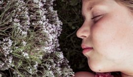 Il ruolo della valeriana nella gestione del sonno