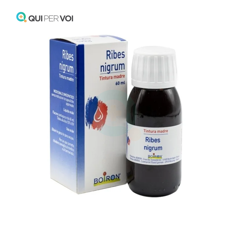 RIBES NIGRUM 60ML TM