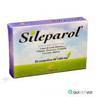 SILEPAROL 20 Cpr 1200mg