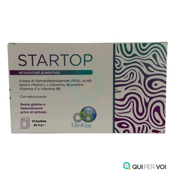 STARTOP 14 Bust.