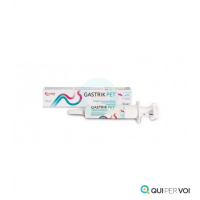 V GASTRIK PET PASTA 30ML SIRINGA