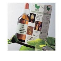VITE 100ML MG VITE 100ML MG