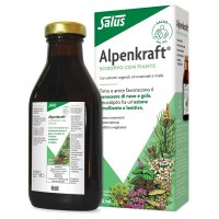 ALPENKRAFT SUCCO ERBE 250ML S/AL