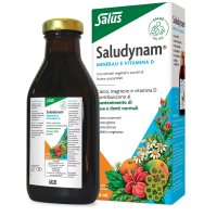 SALUDYNAM 250ML FL