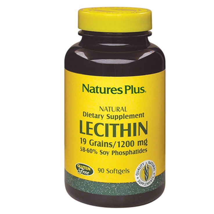 LECITINA DI SOIA 90TAV N.PLUS