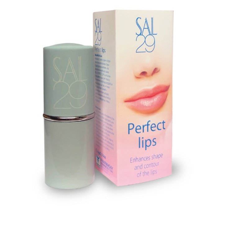 SAL 29 PERFECT LIPS VOLUM/RISTR