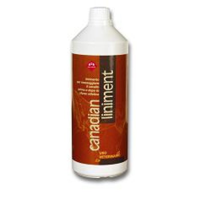 V CANADIAN LINIMENT FL 1000ML