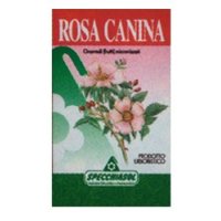 ROSA CANINA SPECCHIASOL 75 CPS