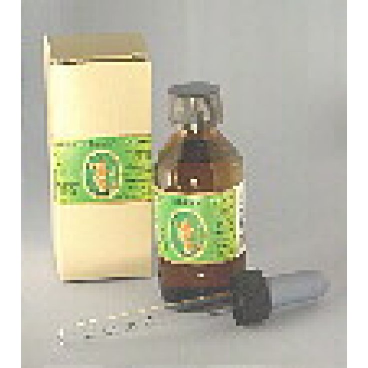 CITRONELLA OLIO ESS 10ML FLORA