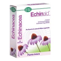 ECHINAID ALTA POTENZA 30CPS