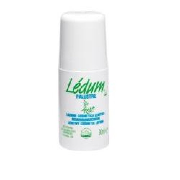 LEDUM ROLL ON LENIT 30ML