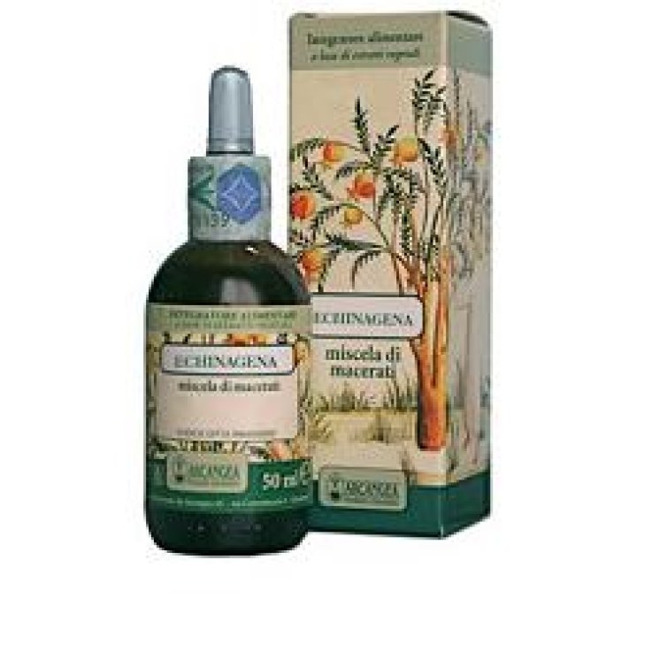 ECHINAGENA GTT 100ML ARCANGEA