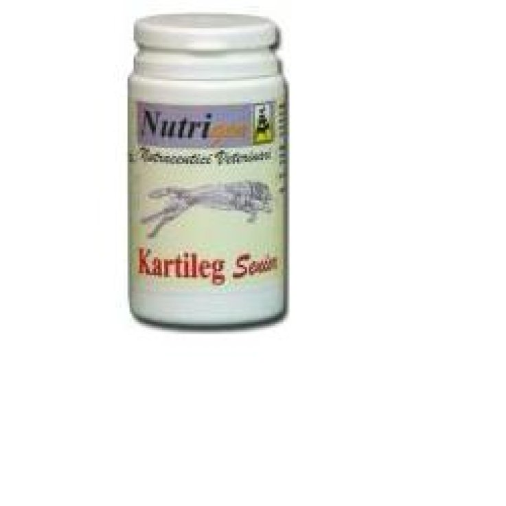 V KARTILEG SENIOR 60TAV NUTRIGEN
