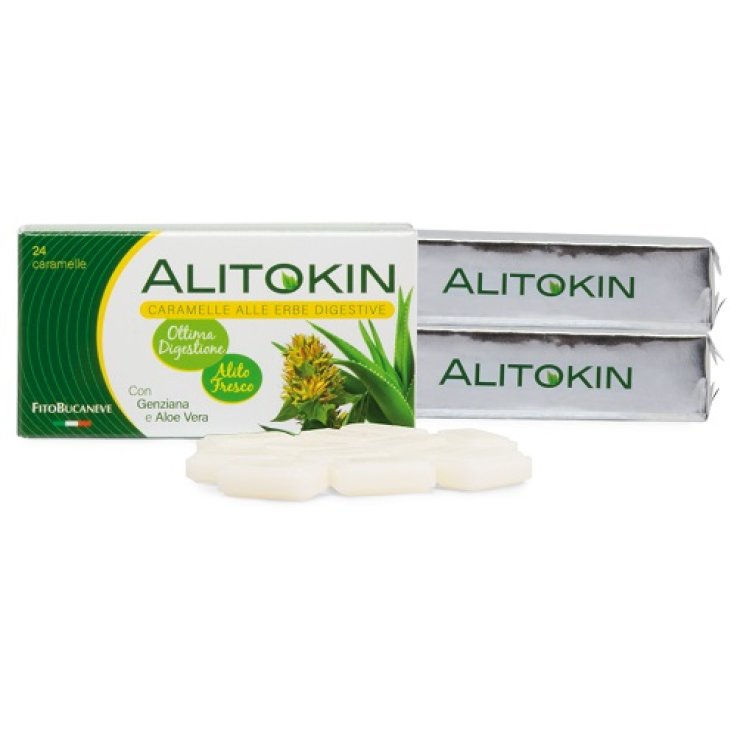 ALITOKIN 60 GR 24 TAV