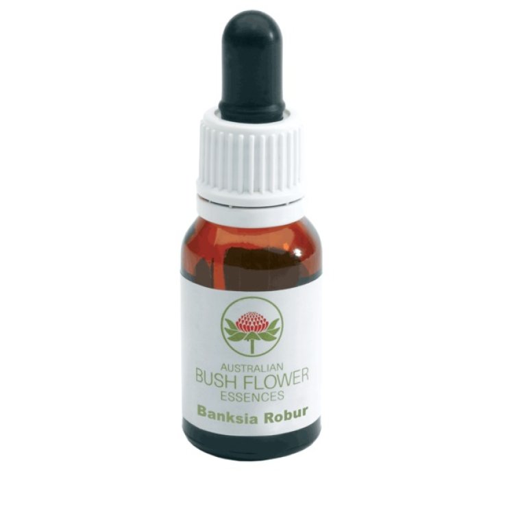 BUSH FLOWER BANKSIA ROBUR 15ML