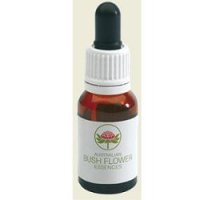 GREY SPIDER FLOWER AUSTR 15ML GREY SPIDER FLOWER AUSTR 15ML