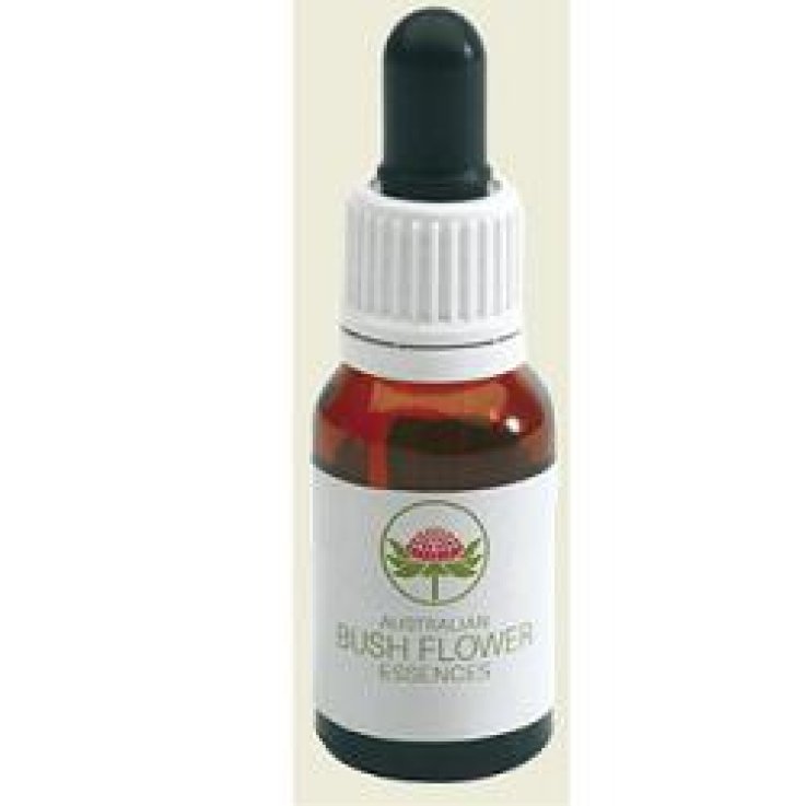 BUSH FLOWER MONGA WARATAH 15ML G