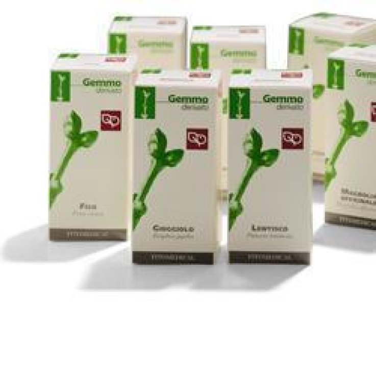 AVENA MG 100ML FITOMEDICAL