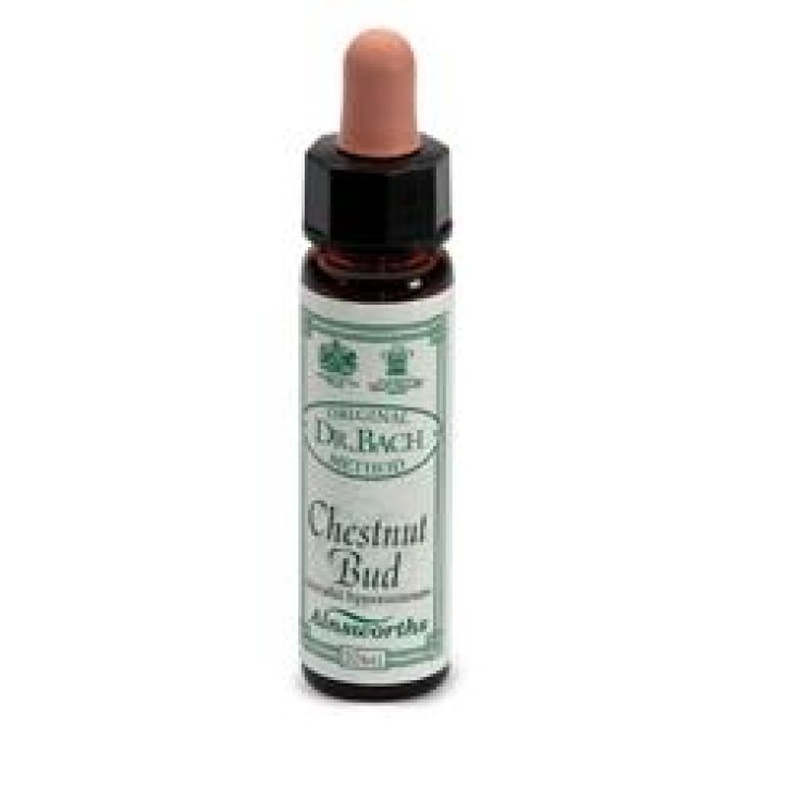 CHESTNUT BUD F BACH 10ML (I3) AI