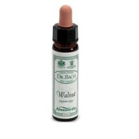 AINSWORTHS WALNUT 10ML AINSWORTHS WALNUT 10ML
