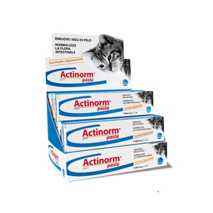 V ACTINORM PASTA GATTI 65 GR