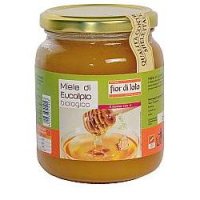 FDL MIELE EUCALIPTO BIO 500GR