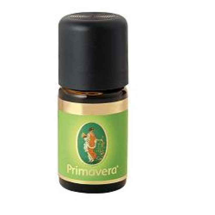 OE CANNELLA FOGLIE 6% 10ML FLORA