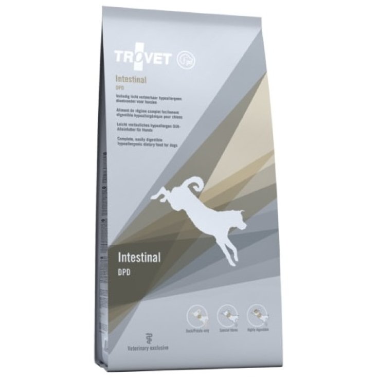 V INTESTINAL DPD DOG 3KG