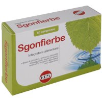 SGONFIERBE 60CPR