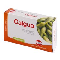 CAIGUA ESTRATTO SECCO 60CPR CAIGUA ESTRATTO SECCO 60CPR