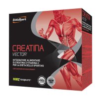 CREATINA VECTOR 20BUST 8G