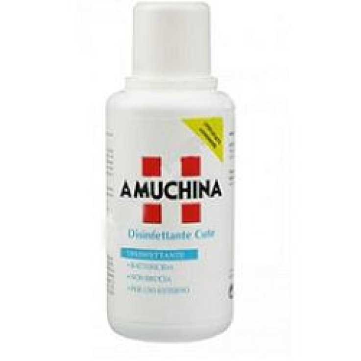 AMUCHINA DISINFETTANTE 300ML