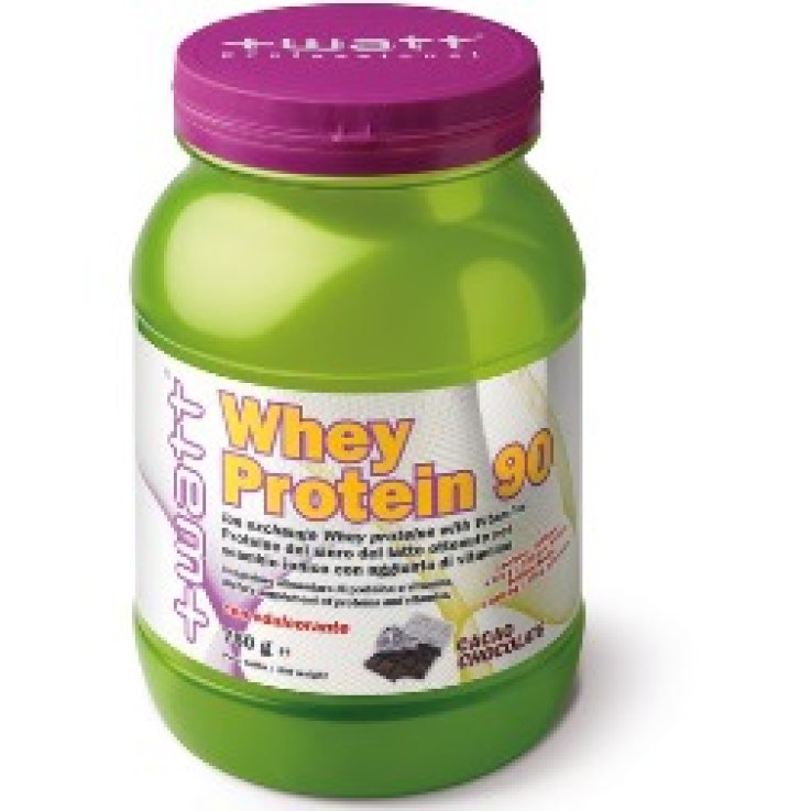 WHEY PROTEIN 90 CACAO 750GR +WAT