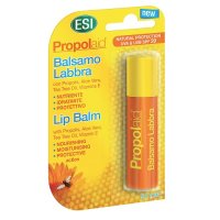 PROPOLAID STICK LABBRA SPF20 6G