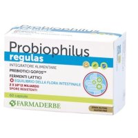 PROBIOPHILUS INT 60CPS 30G PROBIOPHILUS INT 60CPS 30G