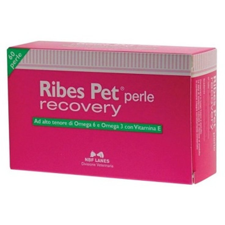 V RIBES PET DOG/CAT RECOVERY 60P