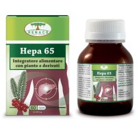 HEPA 65 60CPS RENACO