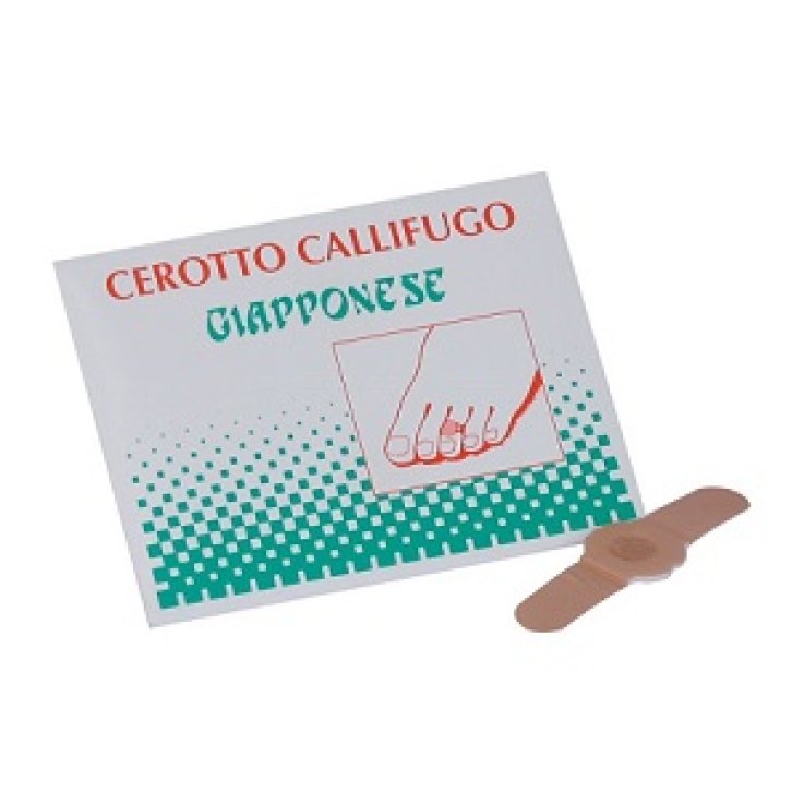 CALLIFUGO GIAPPONESE 4CEROT.C/PA
