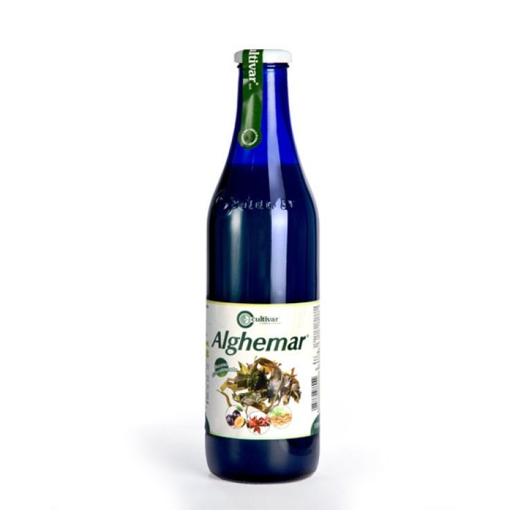 ALGHEMAR VERDE BOTTIGLIA 1000ML