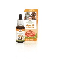 V BUSH PET VIGOR & ENERGY 30ML G