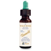 BENOIT FIORI DI BACH WILD ROSE BENOIT FIORI DI BACH WILD ROSE