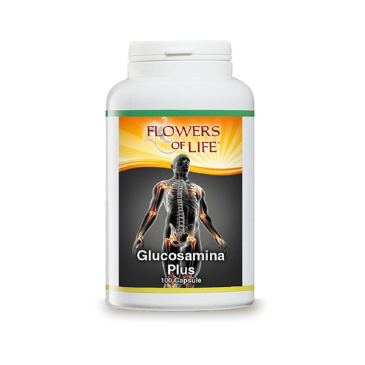 GLUCOSAMINA PLUS 100CPS FLOWERS