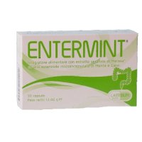 ENTERMINT 30CPS S/G/L(MENTA/CARD