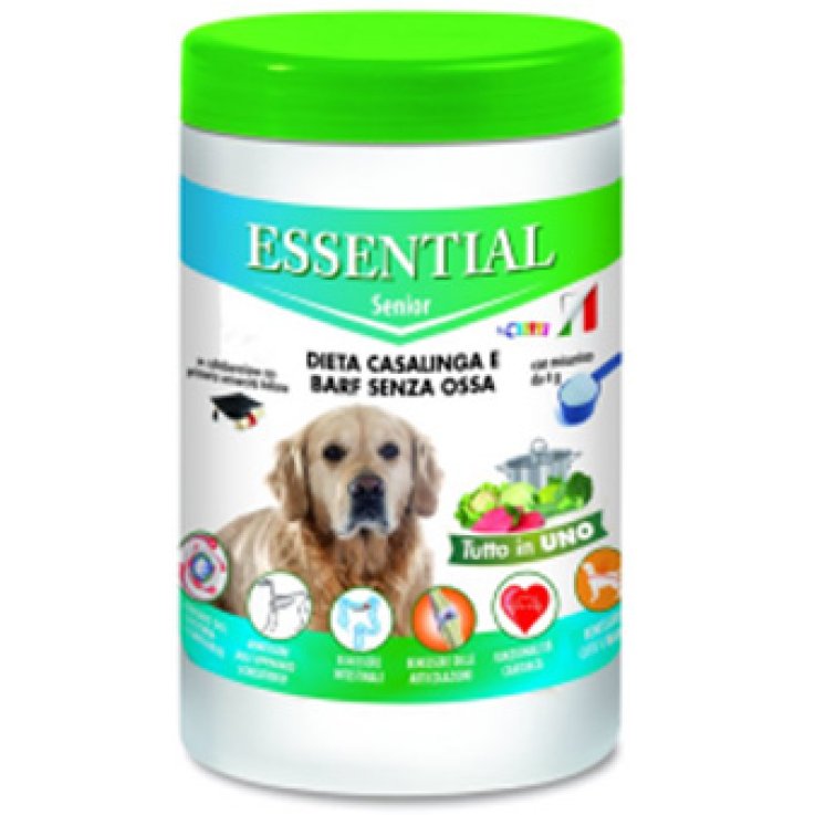 V ESSENTIAL CANE SENIOR 150G