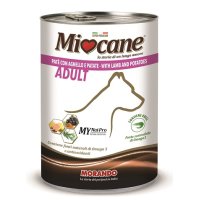 V MIOCANE 8330 PATE'AD AGN/PAT40