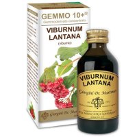 VIBURNO LIQ ANALCOLICO 100ML