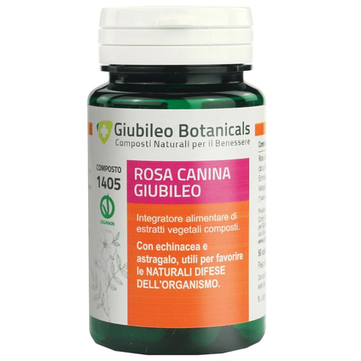 ROSA CANINA GIUBILEO 50CPS