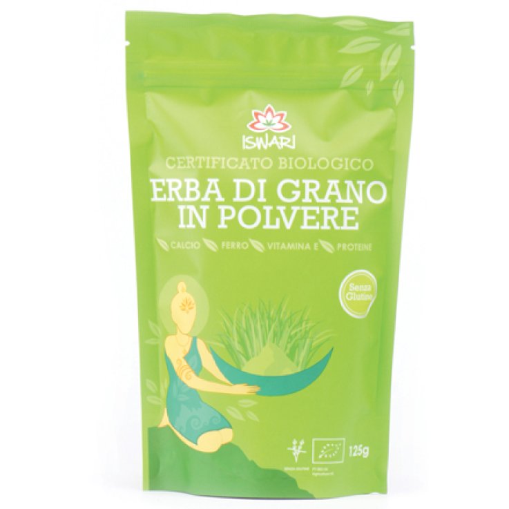 ERBA GRANO POLVERE BIO EU 125GR